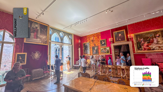 Visualizing Visitor Traffic for Better Decision-Making