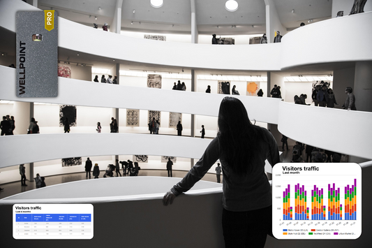 The Power of Real-Time Analytics in People Counting Systems